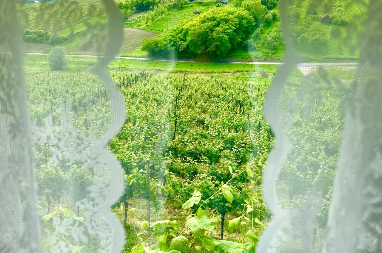 Wine Paradise Sveti Ivan Zelina Eksteriør bilde