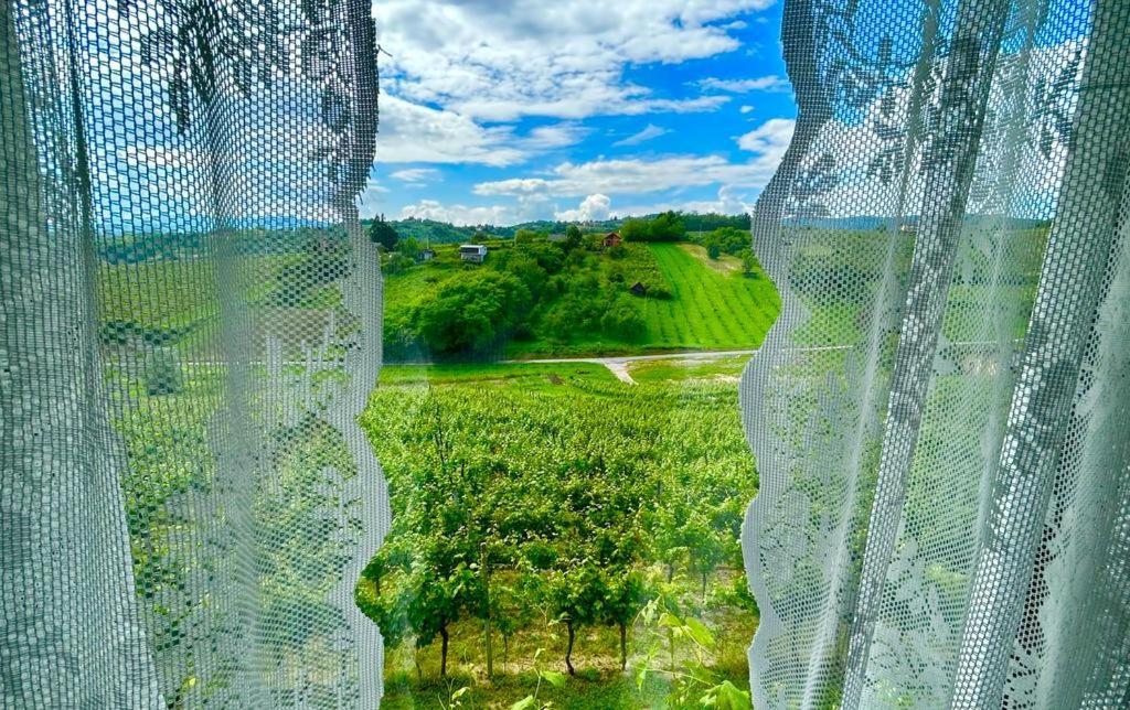 Wine Paradise Sveti Ivan Zelina Eksteriør bilde