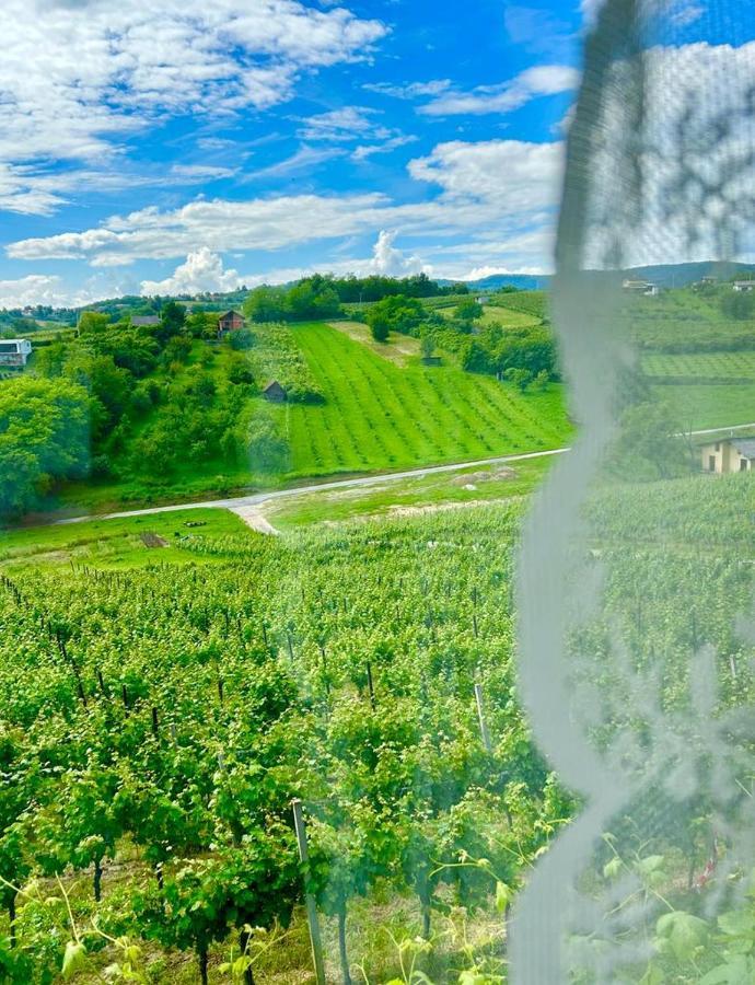 Wine Paradise Sveti Ivan Zelina Eksteriør bilde
