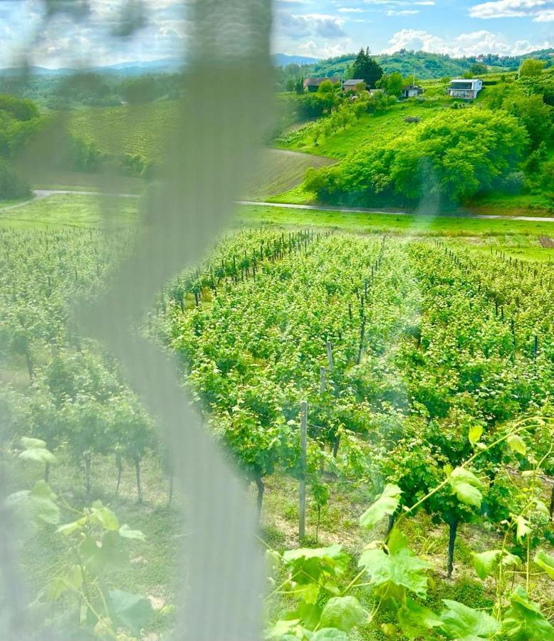 Wine Paradise Sveti Ivan Zelina Eksteriør bilde