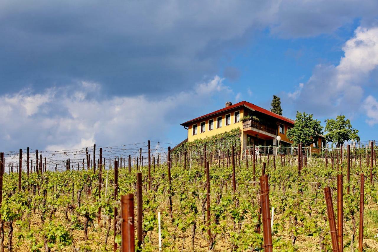 Wine Paradise Sveti Ivan Zelina Eksteriør bilde