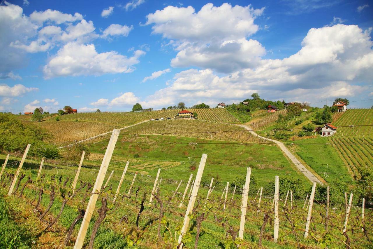 Wine Paradise Sveti Ivan Zelina Eksteriør bilde